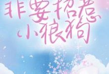 宋砚西覃郁小说叫什么(干什么不好?非要招惹小狼狗免费阅读)-红梅文学