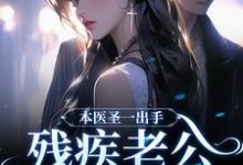 本医圣一出手,残疾老公傍地走小说无弹窗阅读的网站推荐-红梅文学