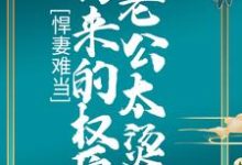 悍妻难当:拐来的权臣老公太烫手陆杳苏槐在线章节免费阅读-红梅文学