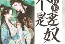 皇叔他不是妻奴小说全文阅读需要付费吗?寻找免费资源-红梅文学