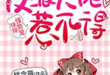 苏璃北殇小说《快穿强势宠:反派大佬惹不得》在线阅读-红梅文学