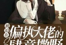 苏冉孤沛烈是哪本书的主角?被迫在偏执大佬的心上肆意撒野免费读-红梅文学