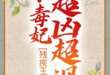 寻找残疾王爷的小毒妃超凶超飒小说的最新更新章节-红梅文学