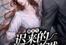 《穆先生,迟来的深情比草贱》小说主角苏遥穆司承章节章节免费在线阅读-红梅文学
