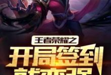 已完结小说《王者荣耀之开局签到就变强》章节在线阅读-红梅文学