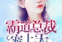 霸道总裁宠上天这本小说完结了吗?免费查看最新章节-红梅文学