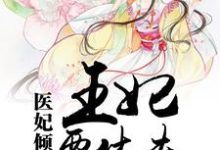 医妃倾城:王妃要休夫小说的无弹窗阅读体验,寻找免费阅读网站-红梅文学