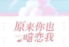免费阅读许湫时越许筠丁卯为主角的小说,原来你也暗恋我在线看-红梅文学