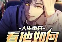 人生重开：看他如何逆天改命小说的无弹窗阅读体验，寻找免费阅读网站-红梅文学
