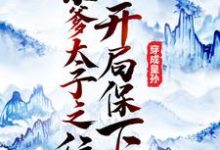 免费阅读李象李世民为主角的小说,穿成皇孙,开局保下亲爹太子之位在线看-红梅文学
