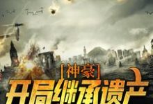 李云峰霍颖为主角的小说神豪:开局继承遗产,走向人生巅峰在线阅读-红梅文学