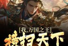 我,万国之王,横扫天下诸国小说全文哪里可以免费看?-红梅文学