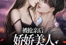 完结版《被抢亲后,娇娇美人嫁大杂院躺赢》在线免费阅读-红梅文学