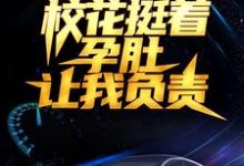 被分手后,校花挺着孕肚让我负责叶辰刘伊娜小说免费阅读-红梅文学
