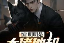 求惊!明明是大佬他却酷爱炸鱼小说的全文免费阅读链接-红梅文学