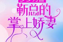 温禾时靳寒嵊靳承西孟知易为主角的小说好看吗?求步步为营,靳总的掌上娇妻免费试读-红梅文学