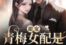 《青梅女配是我的世界》小说主角陈晗苏默予章节章节免费在线阅读-红梅文学