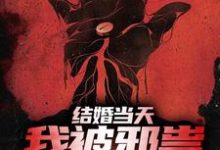 结婚当天,我被邪祟拿了一血小说全文阅读需要付费吗?寻找免费资源-红梅文学