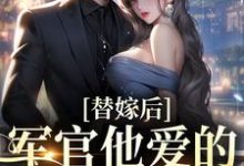 姜婉宁谢辞舟的小说在哪里看?免费在线阅读替嫁后,军官他爱的深不可拔-红梅文学