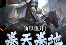 主人公叫陆鸣的小说仙草重开,卷天卷地卷自己在线阅读章节-红梅文学