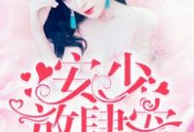 安少,放肆宠!小说有没有完结版在线?-红梅文学