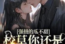 已完结小说《强扭的瓜不甜,校草你还是洗洗睡吧》在线章节阅读-红梅文学