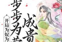 已完结小说《开局为奴为婢,步步为营成贵妃》章节在线阅读-红梅文学