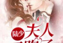 哪里能找到陆少,夫人又跑了小说的最新更新和免费章节?-红梅文学