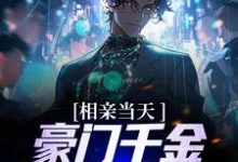 主角楚哲苏若娴小说完结版在线阅读,相亲当天,豪门千金拐去我领证免费看-红梅文学