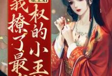 已完结小说《重生后,我撩了最有权的小王爷》章节免费阅读-红梅文学