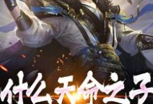 林叶小叶子小说《什么天命之子,我是神选反派》在线阅读-红梅文学