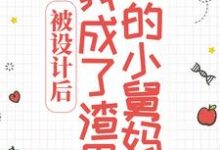 已完结小说《被设计后,我成了渣男的小舅妈》最新章节-红梅文学