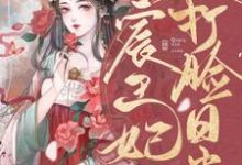 宸王妃打脸日常沈棠南宫宸在线章节免费阅读-红梅文学
