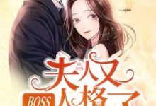 BOSS,夫人又人格分裂了安凝夜盛霆远,BOSS,夫人又人格分裂了在线无弹窗阅读-红梅文学