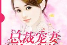 总裁宠妻太霸道小说,总裁宠妻太霸道 秦安安贺景庭-红梅文学