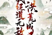洪荒成圣,我证道无敌!小说无弹窗阅读的网站推荐-红梅文学