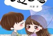 丁依晨沈寒尘的故事在哪本书里?免费阅读穿越90年代之恶女当道-红梅文学
