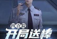 四合院:开局送棒梗进局子小说,四合院:开局送棒梗进局子何雨峰傻柱-红梅文学