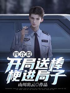 四合院：开局送棒梗进局子小说，四合院：开局送棒梗进局子何雨峰傻柱