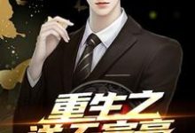 重生之逆天富豪这本小说怎么样?免费在线阅读试试-红梅文学