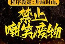 程序设定:开局封山,禁止嘲笑废物小说的免费阅读版本在哪里可以找到?-红梅文学