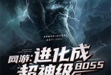 网游:进化成超神级BOSS夜辰爱丽丝在线章节免费阅读-红梅文学