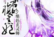在线寻找绝色玄灵师:邪君的腹黑妃小说的无删减版本-红梅文学