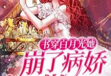 免费看书穿白月光她崩了病娇大佬人设小说的网站有哪些?-红梅文学