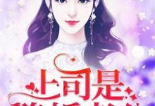上司是隐婚老公免费阅读,上司是隐婚老公章节在线阅读-红梅文学