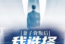 《妻子背叛后,我选择离婚复仇》小说主角赵山河章节章节免费在线阅读-红梅文学