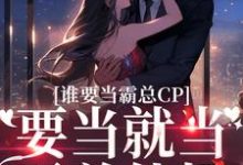 免费在线阅读谁要当霸总CP,要当就当霸总他妈小说的正规网站有哪些?-红梅文学