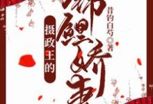小说《摄政王的锦鲤娇妻》在线章节阅读-红梅文学