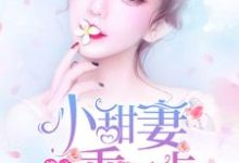 程茵沁傅励浩是哪本书的主角?傅少凶猛:小甜妻乖一点免费读-红梅文学