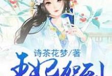 王妃驾到,腹黑王爷请听命小说最新更新在哪里?免费在线看-红梅文学